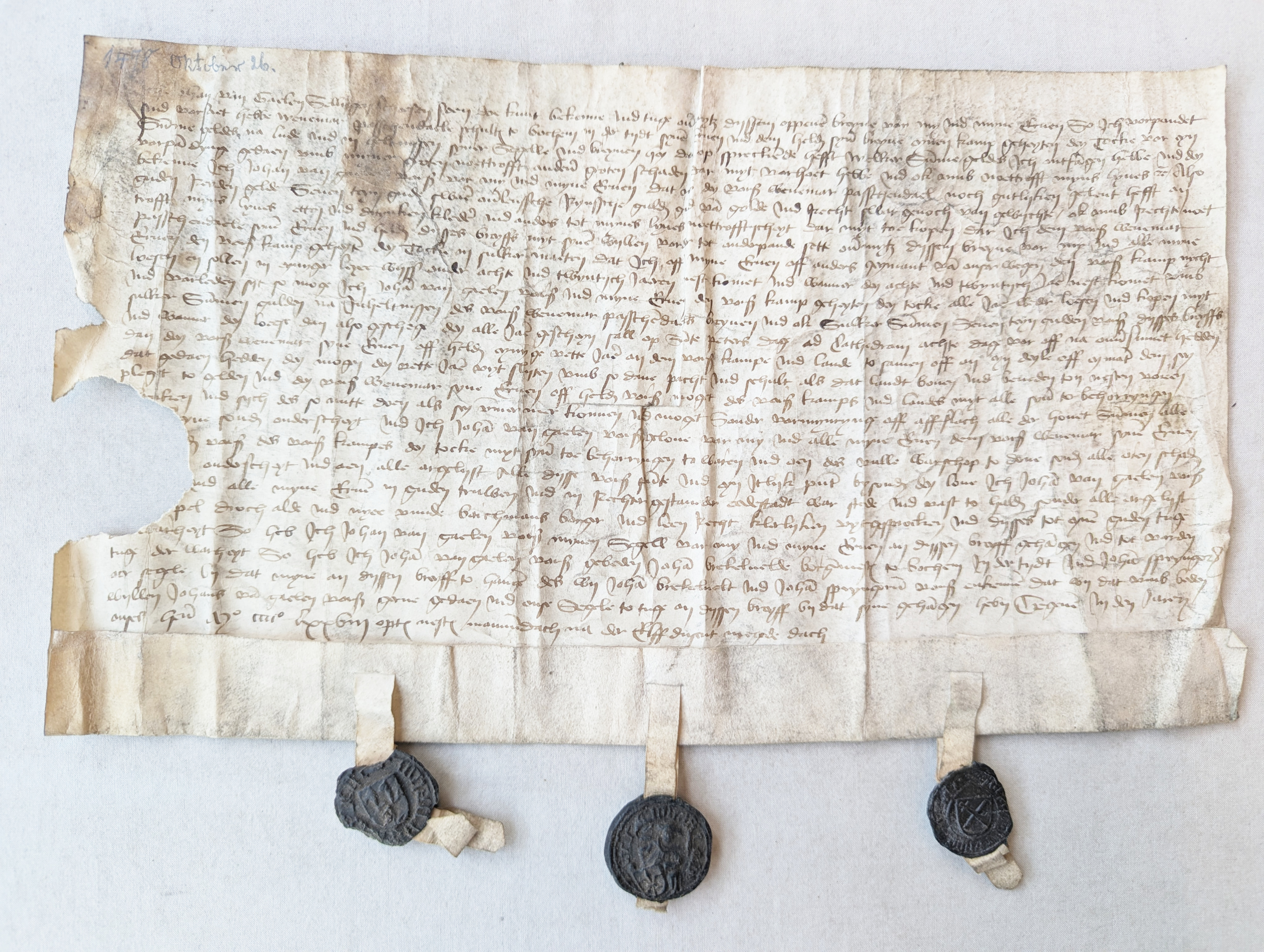 Pledge of Kamp Tocke